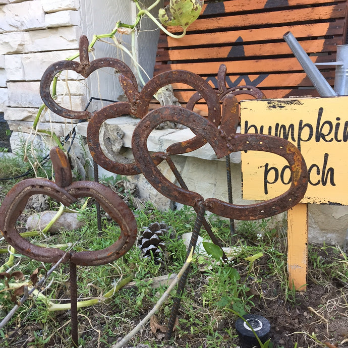 Vines & Pumpkins and How They Need Each Other